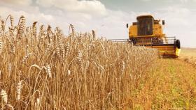 В «ОПОРЕ РОССИИ» оценили влияние заморозков на зерновые